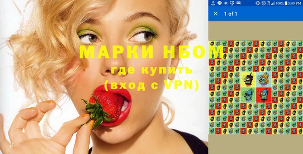 стаф Болхов
