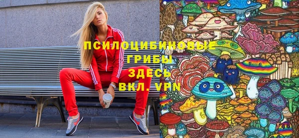 крисы Абдулино