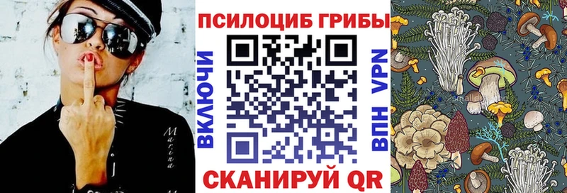 hydra   купить   Анадырь  Галлюциногенные грибы Psilocybine cubensis 